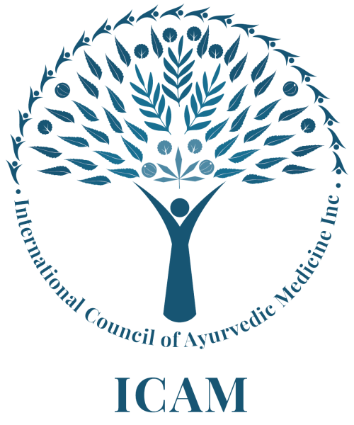 logo icam png